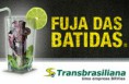 /album/campanhas%20de%20educa%c3%a7%c3%a3o%20no%20tr%c3%a2nsito/a1237576436-jpg/